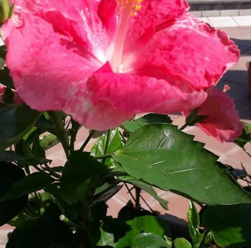 Apartamento Aquamarine Relaxing